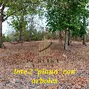 Lote parte 6.webp