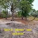 Lote parte 1.webp