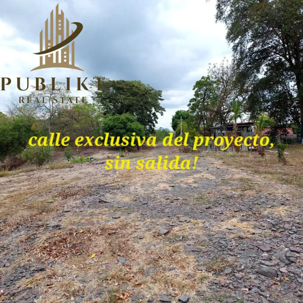Lote parte 5.webp
