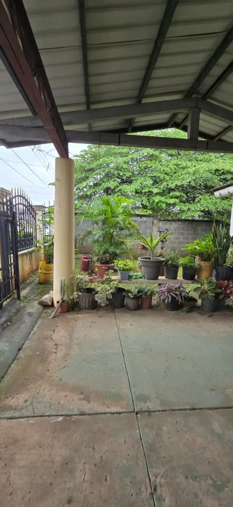 Jardin.webp