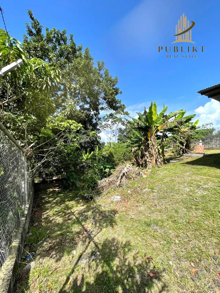 14.webp
