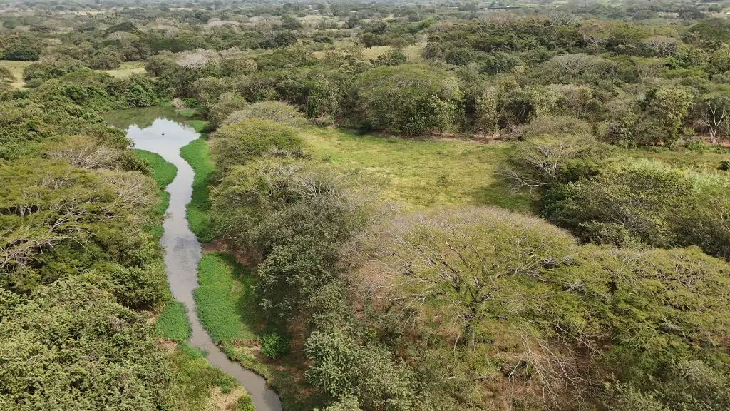 DJI_20250201142141_0038_D.webp