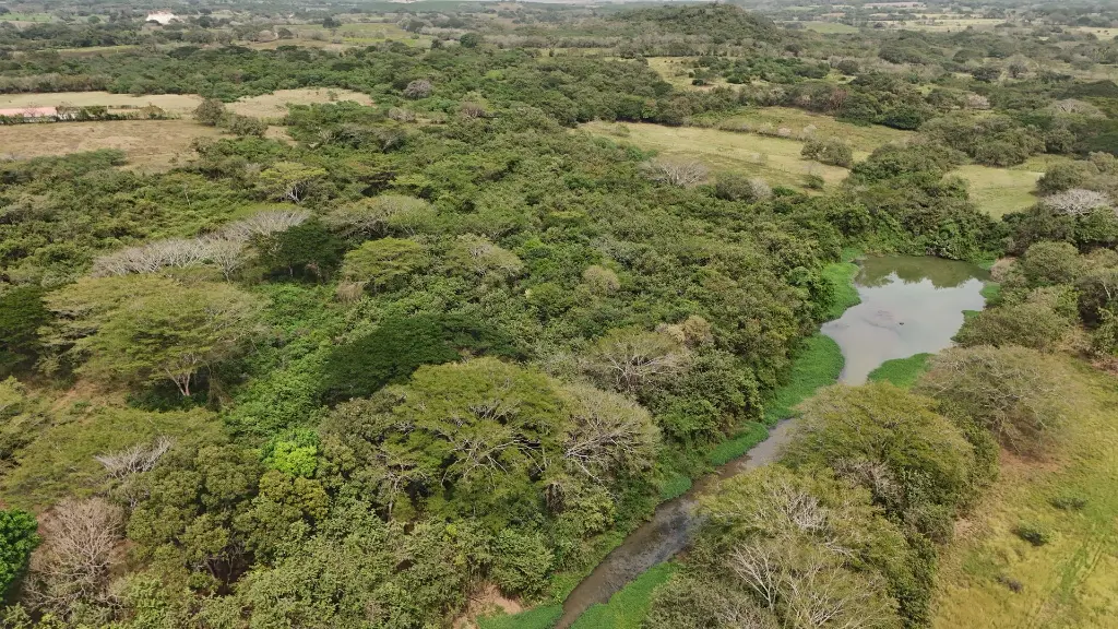 DJI_20250201141320_0033_D.webp