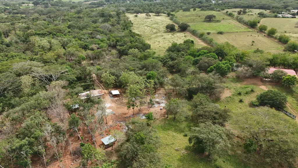 DJI_20250201141529_0036_D.webp