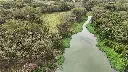 DJI_20250201142452_0043_D.webp