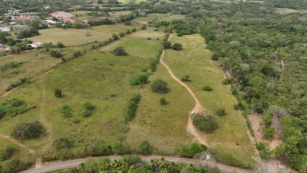 DJI_20250201135424_0026_D.webp