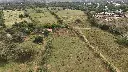 DJI_20250201141336_0034_D.webp