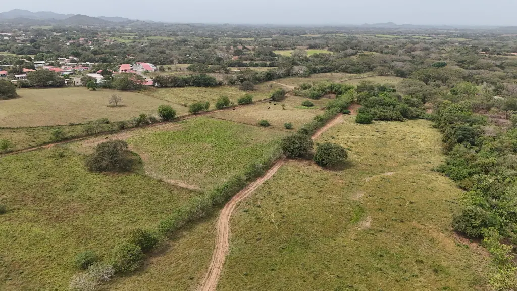 DJI_20250201135921_0029_D.webp