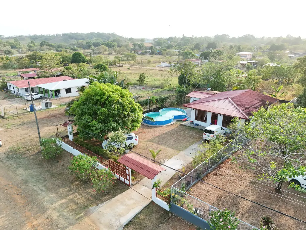 DJI_20250323171006_0209_D.webp