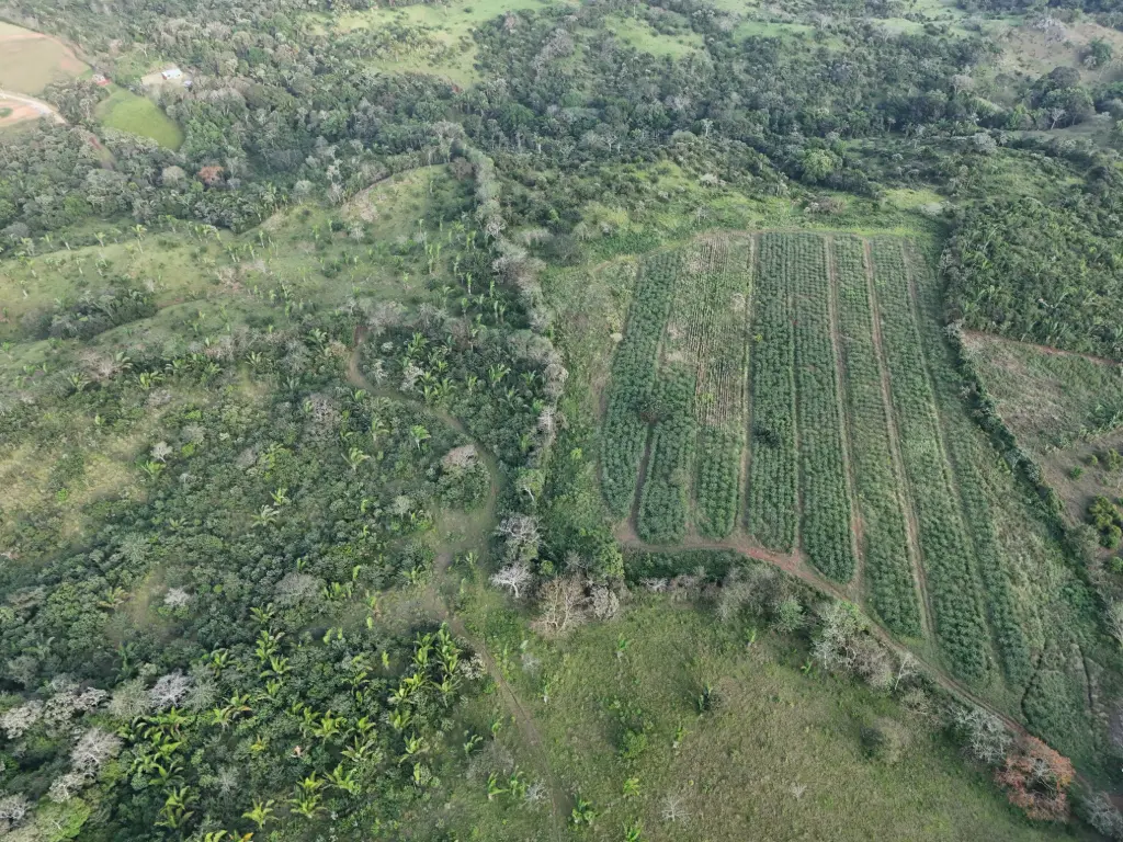 Venta de Finca en LA MENDOZA