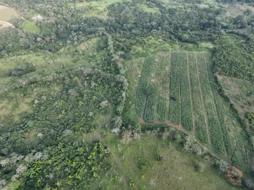 Venta de Finca en LA MENDOZA